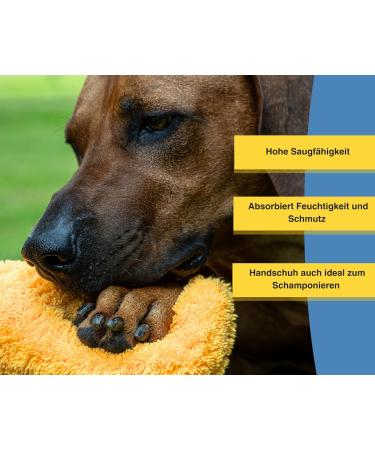 Canicoat Dog Towel SECCARE Set with Glove - Oeko-Tex Certified Microfiber Suction-Strong & Fast Drying (S/M Yellow) | International Shipping - Buy Online on SooperMarket.com