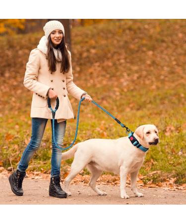 Haapaw Padded Reflective Dog Collar - Soft Neoprene Nylon for Small & Medium Dogs - Black (L - 1 Pack) | Comfortable & Breathable Design - Buy Online on SooperMarket.com