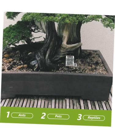 Hohopeti 5pcs Pet Water Feeder Water Bowl for Ants Clear Ants Feeder Ants Feeding Bowl Insect Feeder Plastic - Buy Online on SooperMarket.com