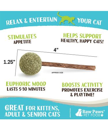 Raw Paws Catnip Lollipop (6-Pack) - Catnip Toys for Indoor Cats - Catnip Ball, Silvervine & Matatabi Stick for Cats - Buy Online on SooperMarket.com