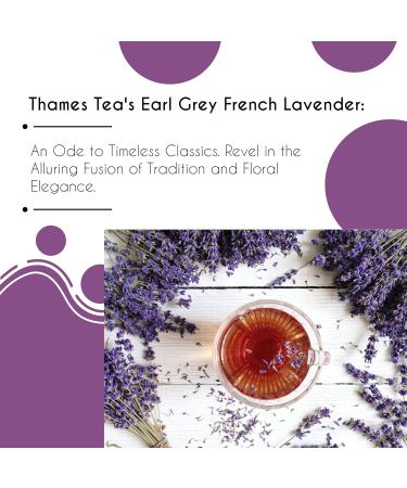 Thames Tea Tubebox - Premium Flavoured Loose Leaf Tea | Earl Grey French Lavender | Herbal Fruit Infusion | Luxury British Tea Experience - Buy Online on SooperMarket.com