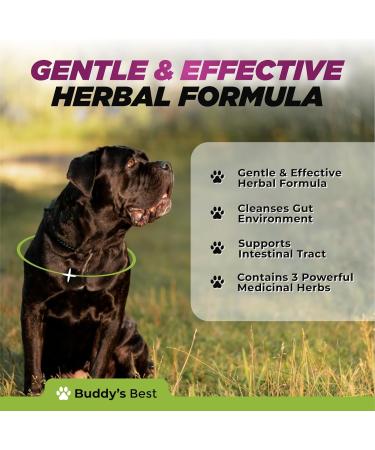 Natural Dewormer for Dogs | 100% Natural | Contains 3 Medicinal Herbs | Supports Intestinal & Gut Health | Gentle & Effective Formula - Buy Online on SooperMarket.com