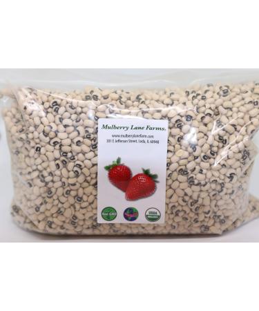 Black-eyed Peas, 5 Pounds (Beans), Dried, USDA Certified Organic, Non-GMO Bulk, Product of USA, Mulberry Lane Farms