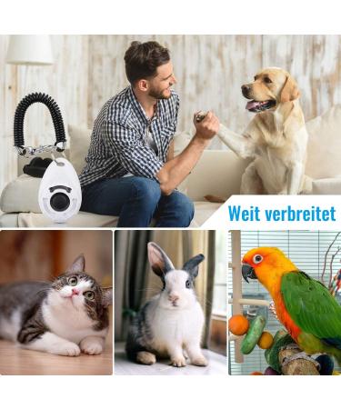 Diyife 4-Piece Multi-Color Clicker Set for Dog Training Clicker with Large Button & Hand Loop for Dogs Cats Horses (Cyan Blue Black White) - International Shipping Available - Buy Online on SooperMarket.com