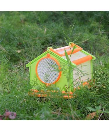Portable Butterfly Habitat Cage Critter Caterpillars Outdoor Green Orange - Buy Online on SooperMarket.com