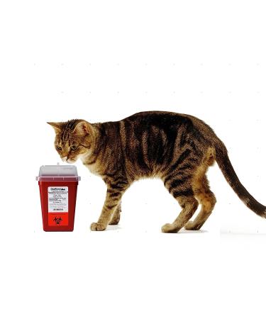 OakRidge Products 1 Quart Sharps & Biohazard Disposal Container - Buy Online on SooperMarket.com