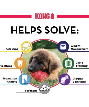 Kong Extreme Dog Toys - Durable Natural Rubber for Small Dogs | Chew Hunt & Retrieve - 1 Pack - Buy Online on SooperMarket.com