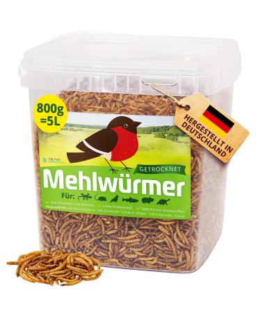 Flourworms dried 800g (5l) dried mealworms with very high protein content worms for reptiles birds wild birds hedgehogs fish turtles & rodent - Premium quality 800 g (1 Pack)