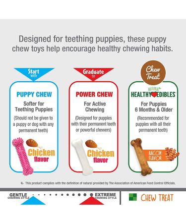 Nylabone Puppy Chew Toys for Teething Puppies | Small/Regular - Pink Bone Lamb & Apple (3 Count) - Buy Online on SooperMarket.com
