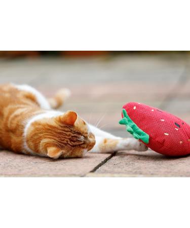 Petface Strawberry Plush Cat Toy - Soft & Engaging Toy for Cats | Ideal for Interactive Play | Shop Internationally - Buy Online on SooperMarket.com