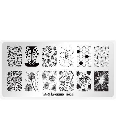 Whats Up Nails - B029 Picnic in the Park Stamping Plate for Nail Art Design
