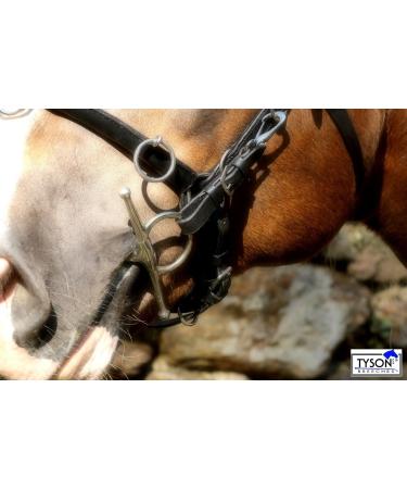 Buy Tysons Breeches Cavesson Leather - Extra Large Coldblood X-Full XX Full with Bit Attachment | Premium Quality Horse Tack - Buy Online on SooperMarket.com