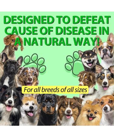 Dog Health Supplement Drops for Allergy Relief, Skin Itch, Kennel Cough, UTI & Ear Infection - Multivitamin Bacon Flavor - 2 Fl Oz - Buy Online on SooperMarket.com
