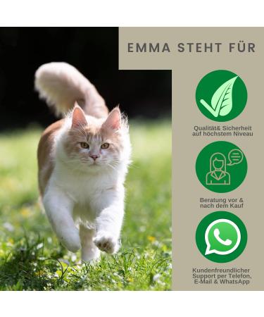 Emma Cat Vitamins 100ml | High Dose B Complex & Essential Nutrients for Immune Support | Vitamins A B12 D E Iron Zinc Selenium & L-Lysine - Buy Online on SooperMarket.com