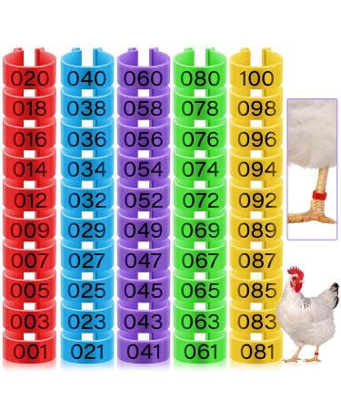 100 Pieces Chicken Leg Rings with 5 Colors Numbered Chicken Leg Bands Colorful Poultry Leg Bands Clip-on Chicken Ankle Rings for Ducks Chicks Chicken Guinea Pigeons Goose Gamefowl 0.63 x 0.39 Inch