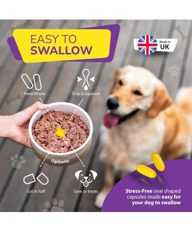 Fish Oil Omega Supplements for Dogs and Cats - 120 Softgels for Pets - Great for Itchy Dry Skin Allergies & Dandruff Furever Friendz - Buy Online on SooperMarket.com