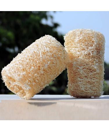 Organic Loofa Bath Sponge Set - 2 Exfoliating Scrubbers | Naturally Grown Loofah - HealthGoodsIn - Buy Online on SooperMarket.com