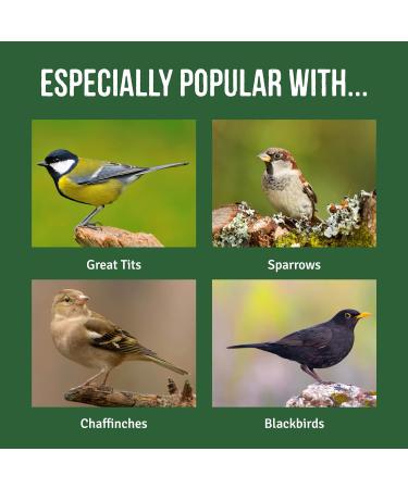 Honeyfields 5Kg Wild Bird Food - High Quality Blend for All Seasons - Buy Online on SooperMarket.com