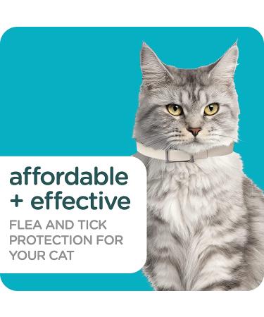 Sergeant's Guardian Pro Flea & Tick Cat Collar - 1 Count - Buy Online on SooperMarket.com