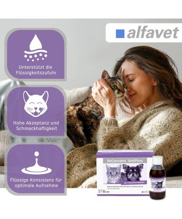 Alfavet Reconvales Antiphos - Kidney Support for Cats & Dogs | Nutritional Supplements with Phosphate Binders - 3 x 90ml Bottles - Buy Online on SooperMarket.com
