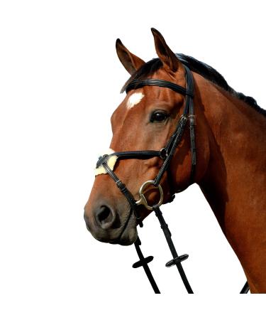 Collegiate Syntovia+ Padded Raised Grackle Bridle Brown Warmblood