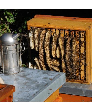Pure Raw Honey with Pollen & Beeswax - 1kg Unheated & Natural | Premium Angel Root Honey - Buy Online on SooperMarket.com