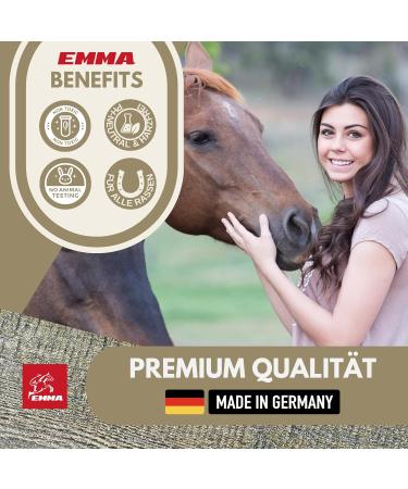 First Aid Set for Horses - Silver Spray & Zinc Ointment for Wound Healing Protection & Disinfection | 250ml & 200ml Options for Pets & Livestock - Buy Online on SooperMarket.com