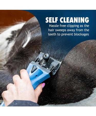Lister Covercote Blade Horse Clipper Blade Equine & Livestock Clipping General Grooming Suitable for Horses & Livestock Animal Clipper Blade 24 Teeth 5mm Cutting Length - Buy Online on SooperMarket.com