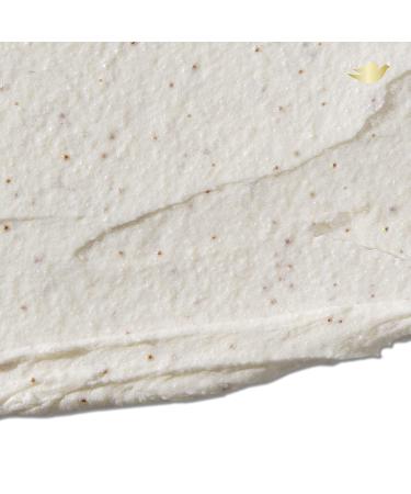 Dove Macadamia & Rice Milk Body Scrub 10.5 oz - Exfoliating Body Polish for Visibly Smoother Skin - Buy Online on SooperMarket.com