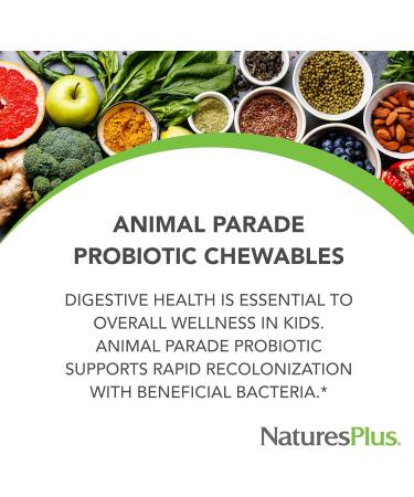 Natures Plus Animal Parade Probiotic for Kids - Mixed Berry Chewables | 30 Vegan Gluten-Free Servings | Supports Gut Health & Immune Function - Buy Online on SooperMarket.com