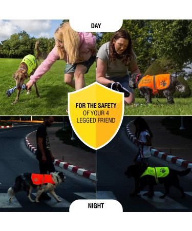 4LegsFriend Reflective Dog Safety Vest - XS | High Visibility for Day and Night Outdoor Activities | Protect Your Dog from Cars & Hunting Accidents | Blaze Orange - Buy Online on SooperMarket.com