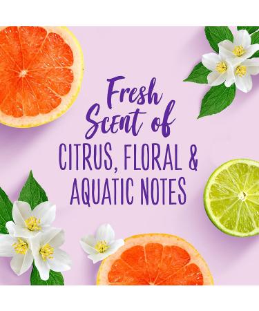 Aussie Sprunch Non-Aerosol Hairspray 8.5 fl oz Citrus - with Jojoba Oil & Sea Kelp - Pack of 1 - Buy Online on SooperMarket.com