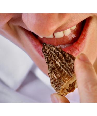 Morel Mushrooms Popular Choice CAPS (2-6 cm) - no Tails - Hand Picked Sun-Dried (30 gr) 30.0 grams - Buy Online on SooperMarket.com