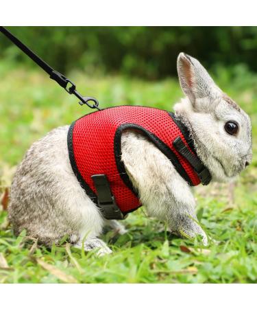 Adjustable Soft Rabbit Dishes & Leash for Small Pets | Kitty & Bunny Walking Accessories - Red XS (20-27.5cm) - Buy Online on SooperMarket.com