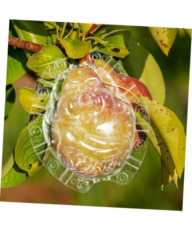 Gogogmee Shaped Fruit Shaper Reusable Forming Novel Shaping Ginseng Vegetable - Buy Online on SooperMarket.com