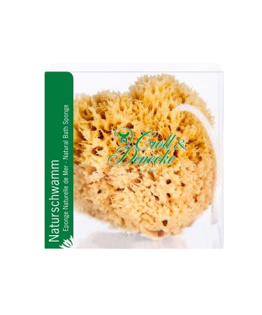 CROLL & DENECKE M400 natural sponge from the Mediterranean in gift box with cotton cord 11 x 11 cm