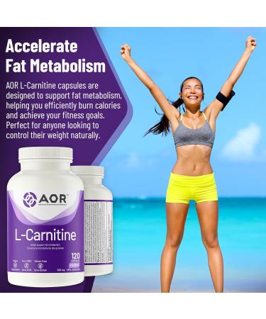 AOR - L-Carnitine 500mg 120 Capsules Pure L-Carnitine Tartrate Supports Energy Metabolism Muscle Recovery & Athletic Performance Promotes Fitness Goals L-Carnitine Capsules for Active Lifestyle - Buy Online on SooperMarket.com
