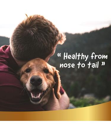 Natural Sun Protection Spray for Dogs & Cats | 250ml Sunscreen Fluid - Linea 101 - Buy Online on SooperMarket.com