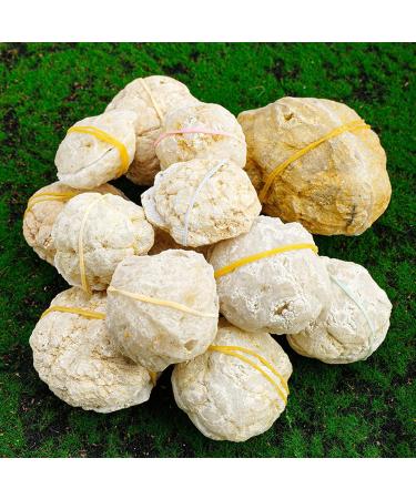 Pair of Agate Geode Natural Reiki Rock Used for Clarity and Purpose Crystal Cluster Gemstone Specimen for Ornaments D cor Artwork Gifts 100-200g Gift (Size : 200-260g) - Buy Online on SooperMarket.com