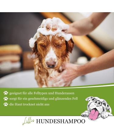 Lillis Naturals Dog Shampoo with Pump Cap - Eco-Friendly & Gentle Pet Care | Shop Internationally - Buy Online on SooperMarket.com