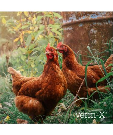 Verm-x Pellets Poultry & Fowl Health Supplement 250g 250 g (Pack of 1) - Buy Online on SooperMarket.com