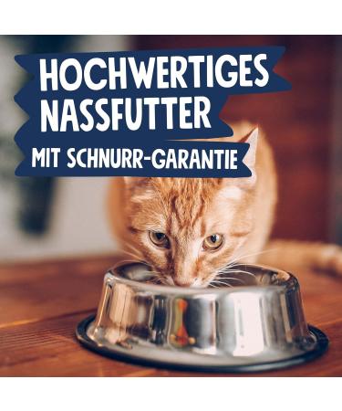 Pets Deli Gourmet P t Multipack Turkey & Beef for Cats - Gluten & Sugar-Free 8x85g - Buy Online on SooperMarket.com