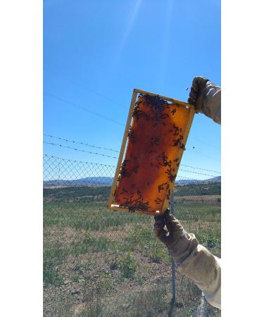 3 x 300g Honeycomb Of Wildflower In Wooden Frame - Pure Natural Honey Comb - Unpasteurised 100% Directly From Hives - Buy Online on SooperMarket.com