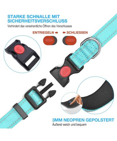 Haapaw Reflecting Dog Collar - Padded Soft Neoprene Breathable Nylon for Small to Medium Dogs - Turquoise (1-Pack) - Buy Online on SooperMarket.com