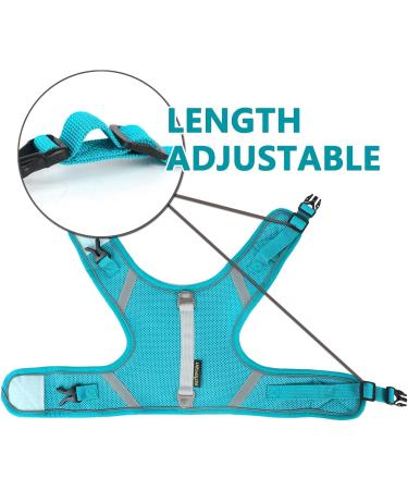 Premium Cat Dishes with Leash | Reflective Cat Patrol Gear for Safe Adventures - Buy Online on SooperMarket.com