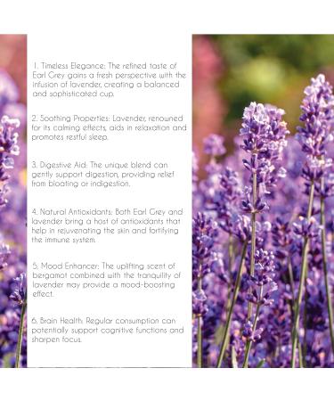 Thames Tea Tubebox - Premium Flavoured Loose Leaf Tea | Earl Grey French Lavender | Herbal Fruit Infusion | Luxury British Tea Experience - Buy Online on SooperMarket.com