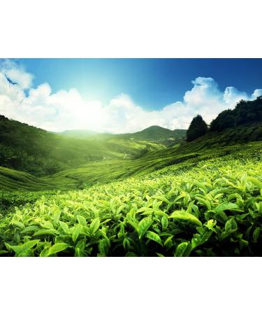 Me mer Organic Chamomile Tea Bags - Mild Vegan Gluten-Free & Lactose-Free - 18 Count - Buy Online on SooperMarket.com