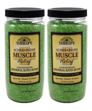 Village Naturals Aches + Pains Muscle Mineral Bath Soak 20 Ounce (591ml) (2 Pack)