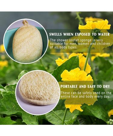 Natural Luffa Body Cloths - Eco-Friendly Biodegradable Shower Scrubs (4 Pack) for Men & Women - Buy Online on SooperMarket.com