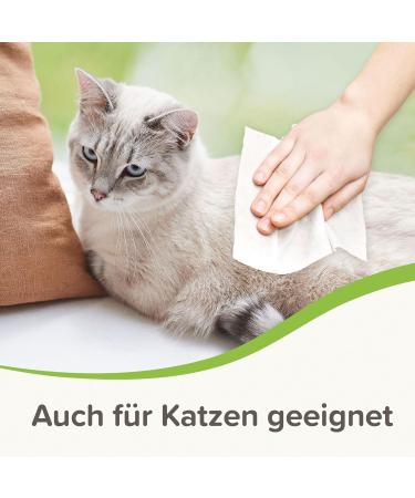 Beaphar Ear & Eye Wipes for Dogs & Cats - 30 Pieces | Gentle Cleaning Solution for Pets - Shop Now! - Buy Online on SooperMarket.com